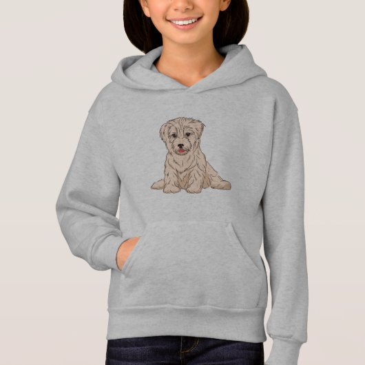 Havanese hond (Voorkant)