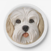 Havanese Hond 3D Geïnspireerd Papieren Bordje (Voorkant)