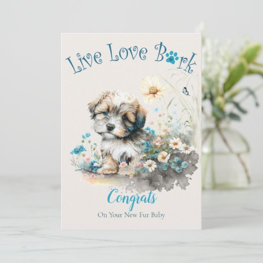 Havanese Hond Adoptie, Gotcha Dag Kaart (Staand voorkant)