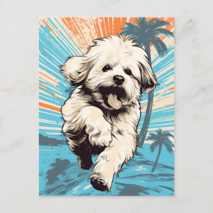 Havanese hond bij een tropisch strand tijdens zons briefkaart