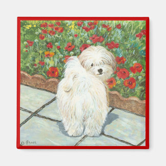 Havanese Hond en Poppies Art Print Magneet