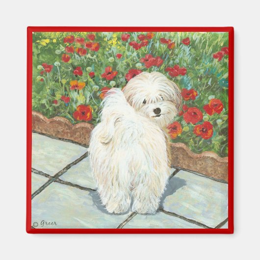 Havanese Hond en Poppies Art Print Magneet (Voorkant)