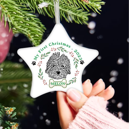 Havanese Hond Gepersonaliseerde Hand Drawing Keramisch Ornament