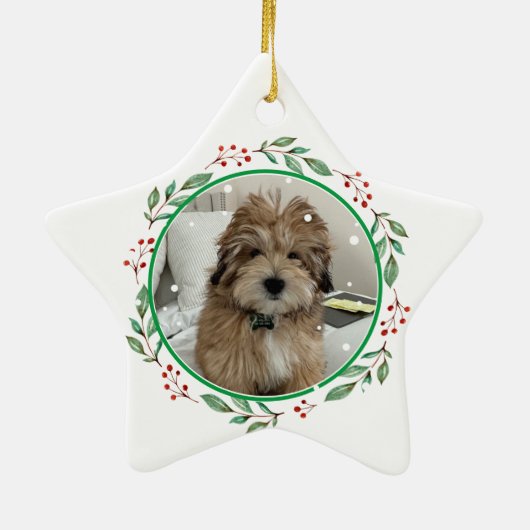 Havanese Hond Gepersonaliseerde Hand Drawing Keramisch Ornament (Achterkant)