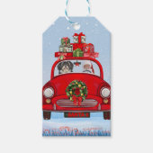 Havanese hond in auto met kerstman cadeaulabel (Voorkant)