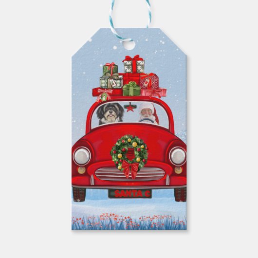 Havanese hond in auto met kerstman cadeaulabel (Voorkant)