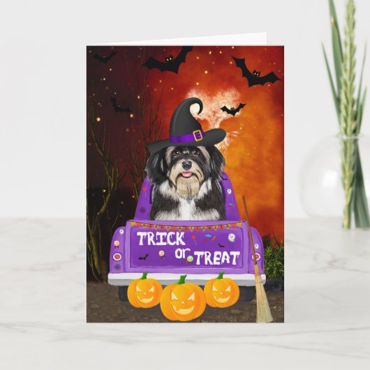 Havanese Hond in Halloween Truck Kaart (Voorkant)