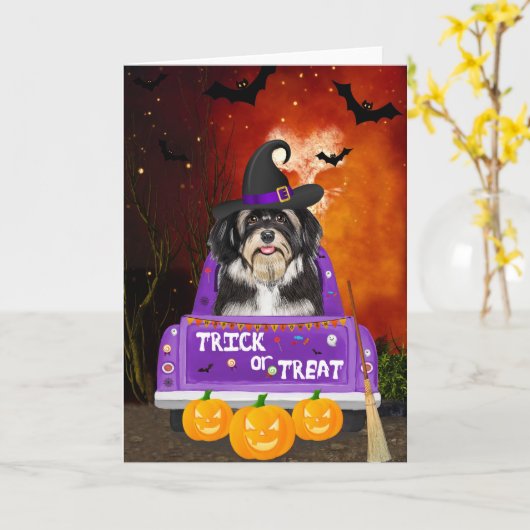 Havanese Hond in Halloween Truck Kaart (Gele Bloem)
