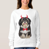 Havanese Hond in Halloween Trui (Voorkant)