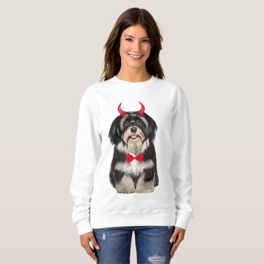 Havanese Hond in Halloween Trui (Voorkant volledig)