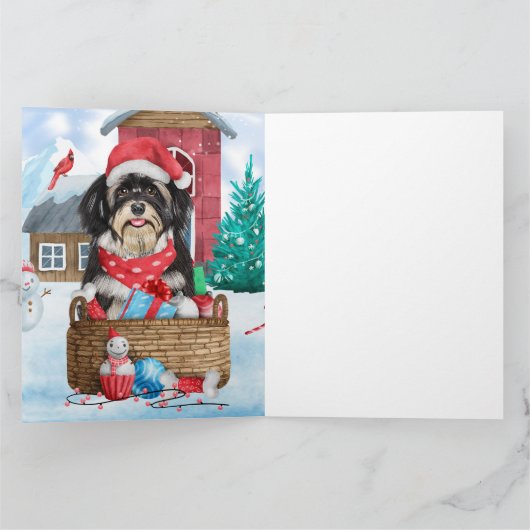 Havanese hond in het sneeuwbalhuis kaart (Binnen)