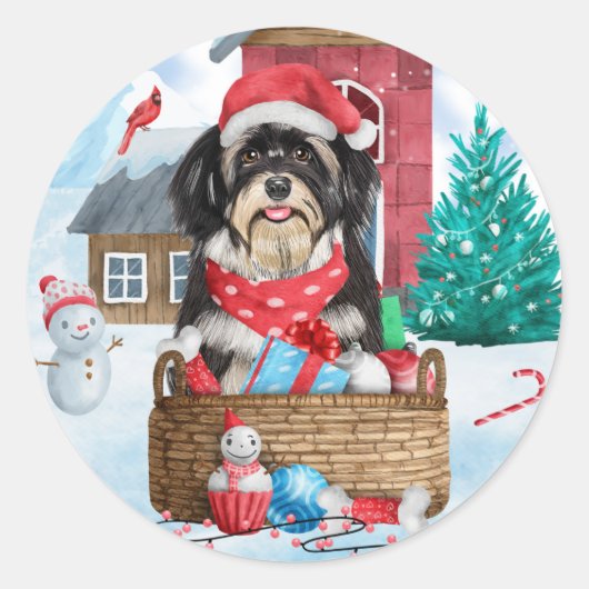Havanese hond in het sneeuwbalhuis ronde sticker (Voorkant)