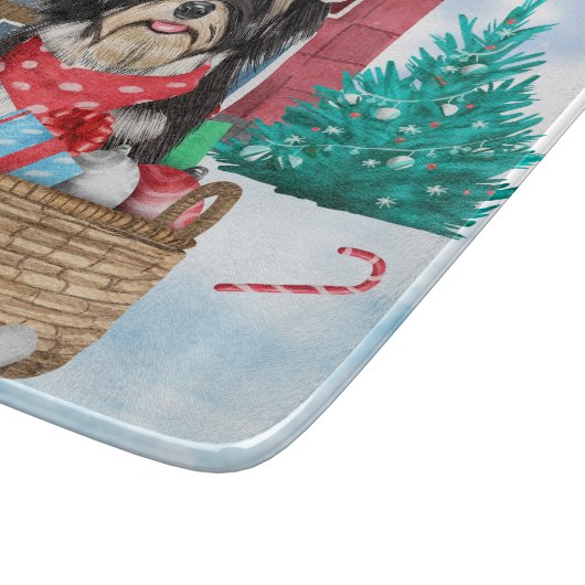 Havanese hond in het sneeuwbalhuis snijplank (Hoek)