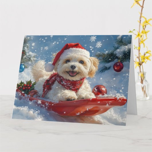 Havanese hond in slee Laat het sneeuwen Kerstmis Kaart (Gele Bloem)