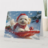 Havanese hond in slee Laat het sneeuwen Kerstmis Kaart (Voorkant)