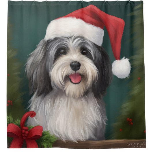 Havanese Hond in Sneeuw Kerstmis Douchegordijn (Voorkant)