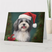 Havanese Hond in Sneeuw Kerstmis Kaart (Voorkant)