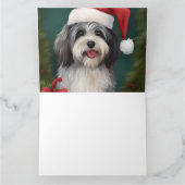 Havanese Hond in Sneeuw Kerstmis Kaart (Binnen)