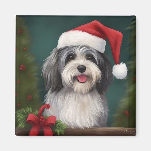 Havanese Hond in Sneeuw Kerstmis Magneet (Voorkant)