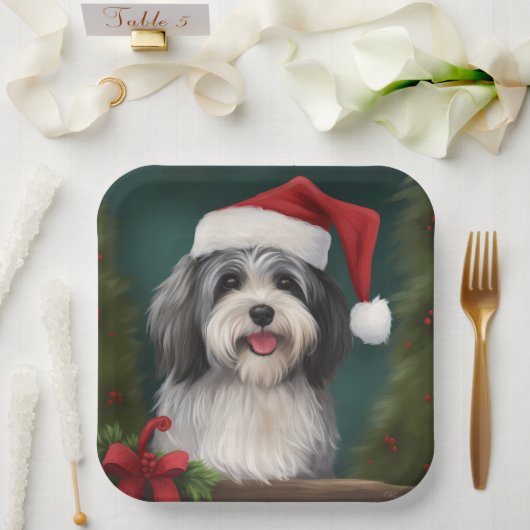 Havanese Hond in Sneeuw Kerstmis Papieren Bordje (Huwelijk)