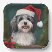 Havanese Hond in Sneeuw Kerstmis Papieren Bordje (Voorkant)