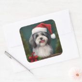 Havanese Hond in Sneeuw Kerstmis Vierkante Sticker (Envelop)