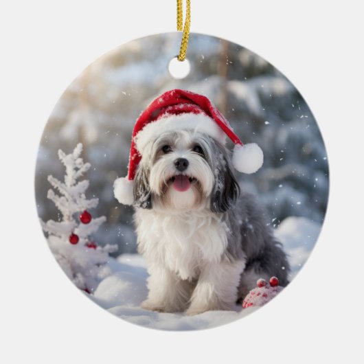 Havanese Hond Kerst Keepsake Keramisch Ornament (Voorkant)