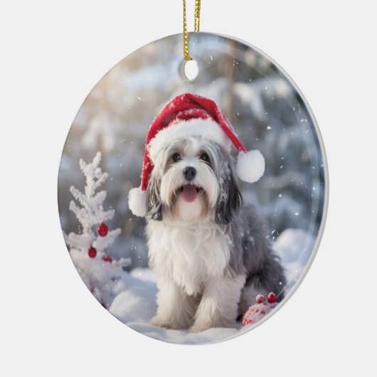 Havanese Hond Kerst Keepsake Keramisch Ornament (Links)
