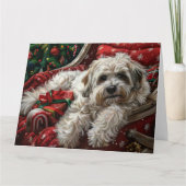 Havanese Hond Kerstfeest Kaart (Voorkant)