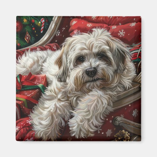 Havanese Hond Kerstfeest Magneet (Voorkant)