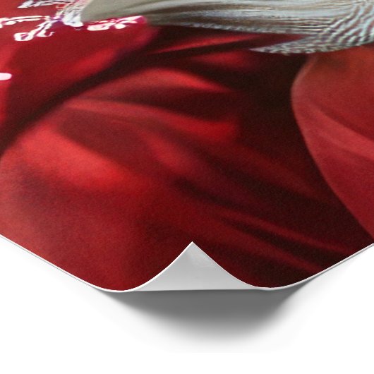 Havanese Hond Kerstfeest Poster (Hoek)