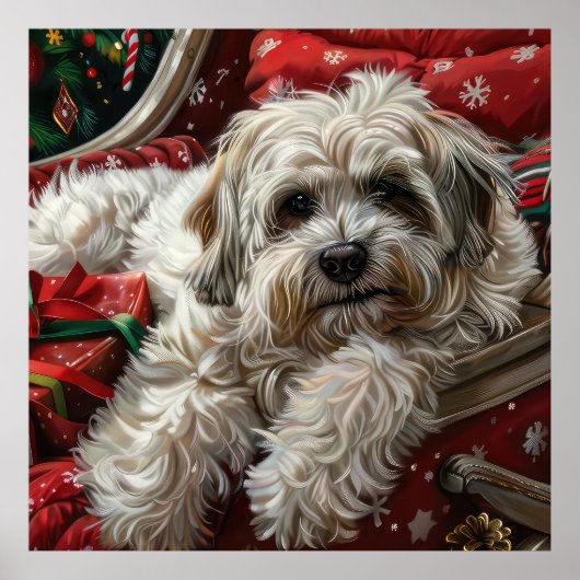 Havanese Hond Kerstfeest Poster (Voorkant)
