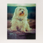 Havanese Hond. Legpuzzel (Verticaal)