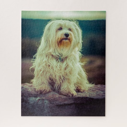 Havanese Hond. Legpuzzel (Verticaal)