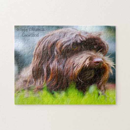 Havanese Hond. Legpuzzel (Horizontaal)
