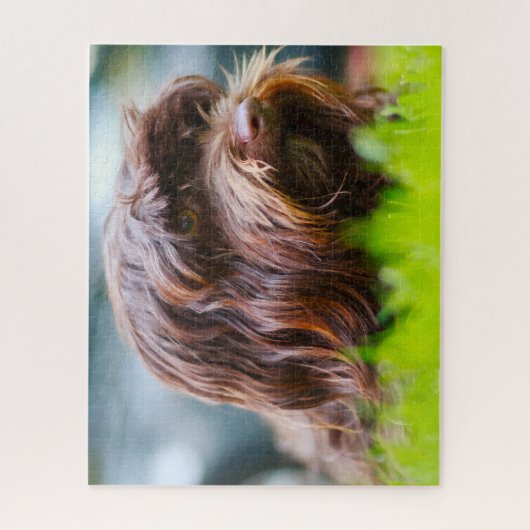 Havanese hond. legpuzzel (Verticaal)