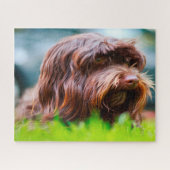 Havanese hond. legpuzzel (Horizontaal)