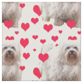 Havanese hond met hart stof (Close Up)