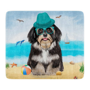 Havanese hond op het strand snijplank