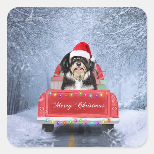 Havanese hond op sneeuw in kerstmis vierkante sticker (Voorkant)