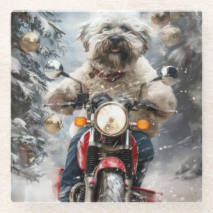 Havanese Hond Rijden Motorfiets Kerstmis Glazen Onderzetter