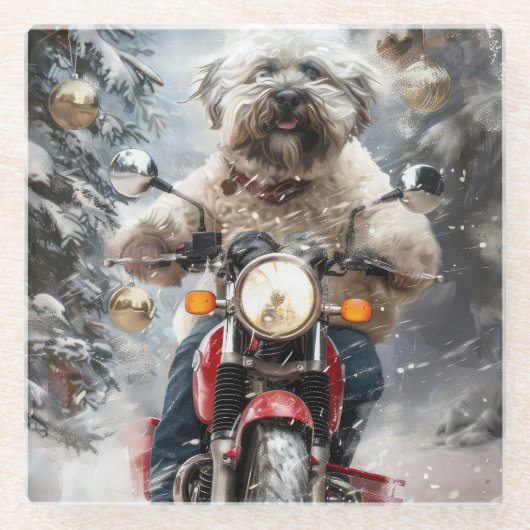 Havanese Hond Rijden Motorfiets Kerstmis Glazen Onderzetter (Voorkant)