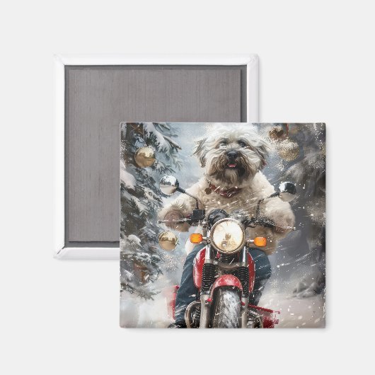 Havanese Hond Rijden Motorfiets Kerstmis Magneet (Voorkant / Achterkant)