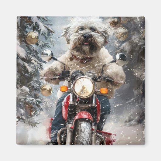 Havanese Hond Rijden Motorfiets Kerstmis Magneet (Voorkant)