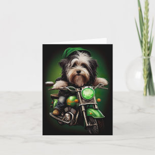 Havanese hond rijdt op fiets St. Patrick's Day Kaart