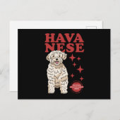 Havanese hond van de koelste | Havaneses Briefkaart (Voorkant / Achterkant)