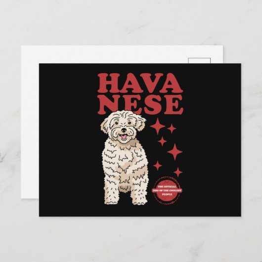 Havanese hond van de koelste | Havaneses Briefkaart (Voorkant / Achterkant)