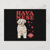 Havanese hond van de koelste | Havaneses Briefkaart (Voorkant)