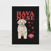 Havanese hond van de koelste | Havaneses Kaart (Voorkant)