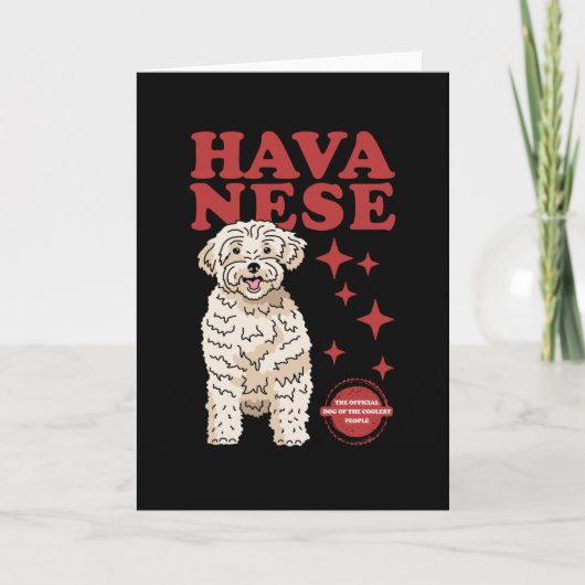 Havanese hond van de koelste | Havaneses Kaart (Voorkant)
